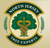 North Jersey Tree Services 