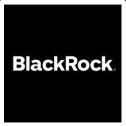 BlackRock   FINANCIAL PLANNING & INVESTMENT MANAGEMENT