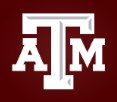 TEXAS A&M UNIVERSITY